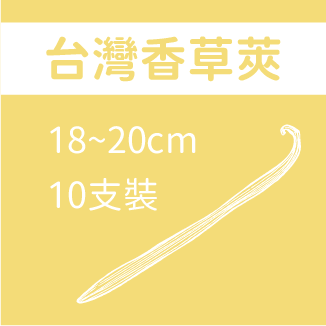台灣香草莢